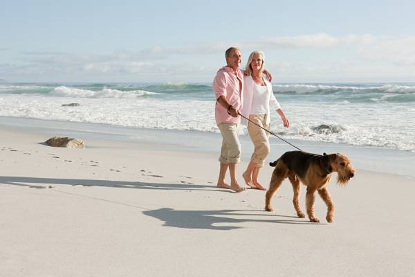 Guide to Pet-Friendly Cape San Blas | Be Our Guest Vacation Homes